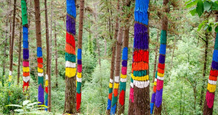Descubre el impresionante arte natural del Bosque de Oma en Vizcaya